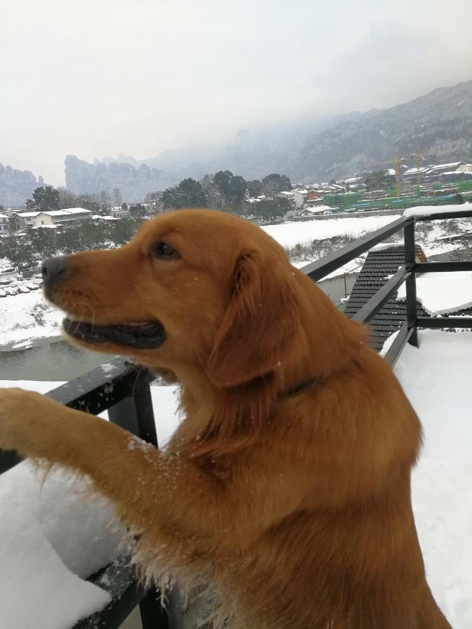 張家界武陵源北岸輕奢客棧 森林公園店 Hotel Zhangjiajie Eksteriør billede